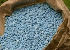 尿素多久被吸收？怎樣提高利用率？